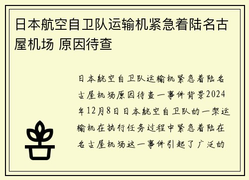 日本航空自卫队运输机紧急着陆名古屋机场 原因待查