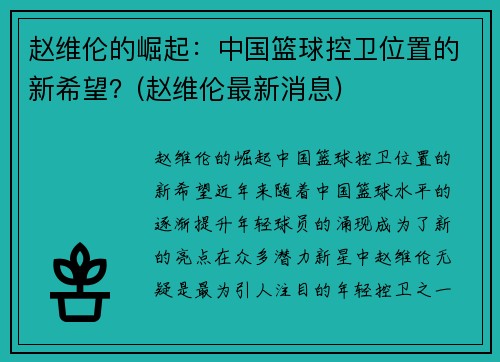 赵维伦的崛起：中国篮球控卫位置的新希望？(赵维伦最新消息)