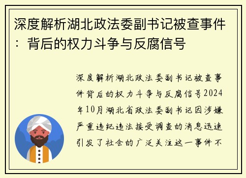 深度解析湖北政法委副书记被查事件：背后的权力斗争与反腐信号