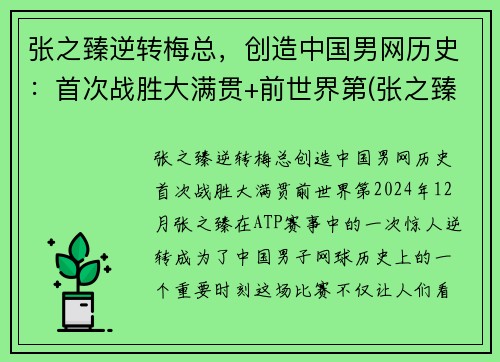 张之臻逆转梅总，创造中国男网历史：首次战胜大满贯+前世界第(张之臻网球视频)
