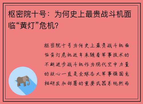 枢密院十号：为何史上最贵战斗机面临“黄灯”危机？